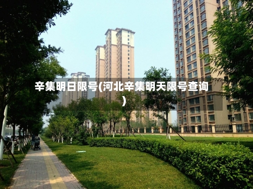 辛集明日限号(河北辛集明天限号查询)-第3张图片