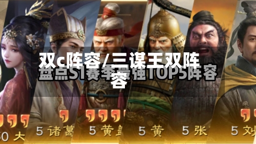 双c阵容/三谋王双阵容