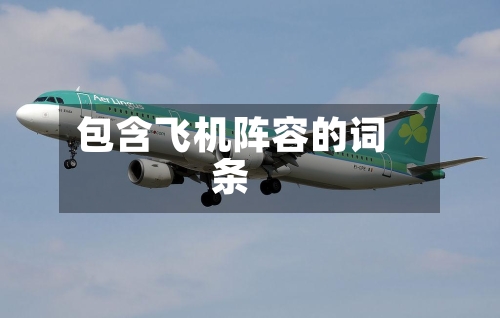 包含飞机阵容的词条