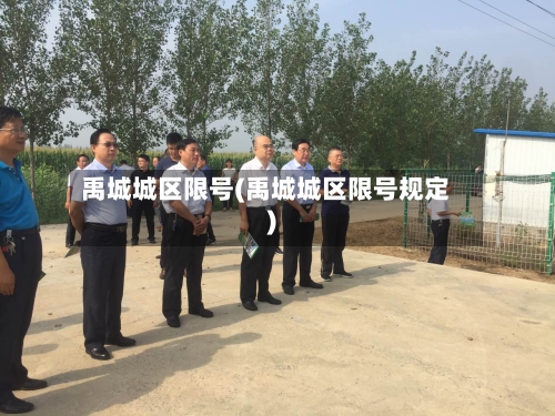 禹城城区限号(禹城城区限号规定)