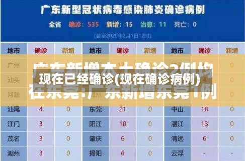 现在已经确诊(现在确诊病例)-第3张图片