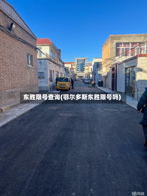 东胜限号查询(鄂尔多斯东胜限号吗)