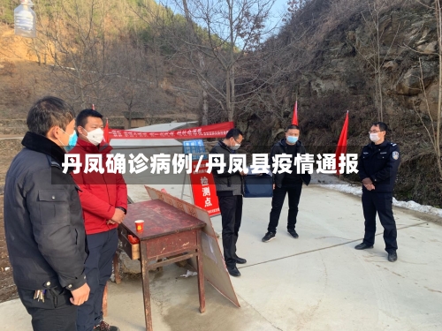 丹凤确诊病例/丹凤县疫情通报-第2张图片