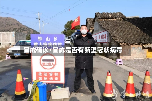 宣威确诊/宣威是否有新型冠状病毒-第2张图片