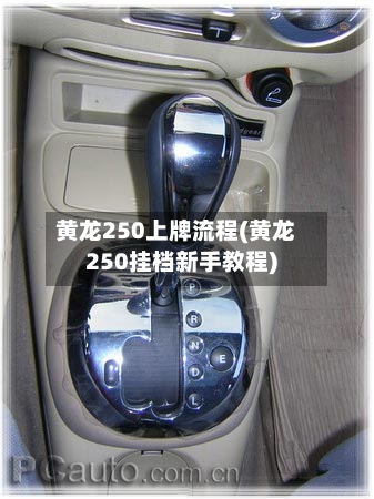 黄龙250上牌流程(黄龙250挂档新手教程)-第2张图片