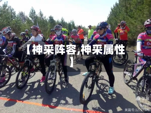 【神采阵容,神采属性】