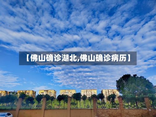 【佛山确诊湖北,佛山确诊病历】