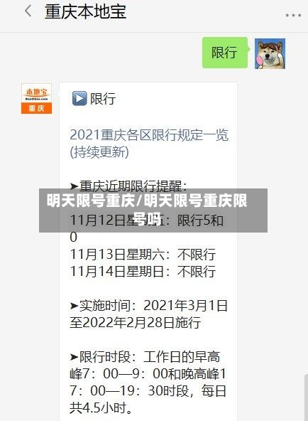 明天限号重庆/明天限号重庆限号吗-第3张图片
