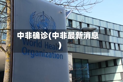 中非确诊(中非最新消息)-第2张图片