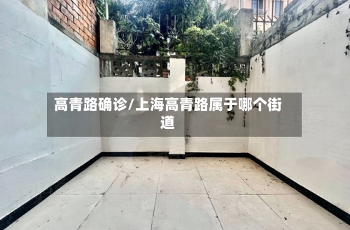 高青路确诊/上海高青路属于哪个街道-第3张图片