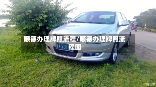 顺德办理牌照流程/顺德办理牌照流程图