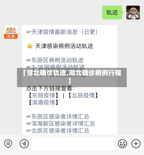 【湖北确诊轨迹,湖北确诊病例行程】