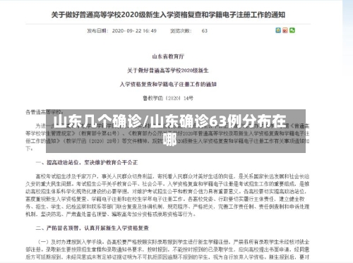 山东几个确诊/山东确诊63例分布在哪-第3张图片