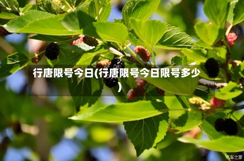 行唐限号今日(行唐限号今日限号多少)
