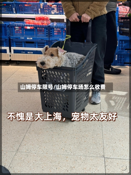 山姆停车限号/山姆停车场怎么收费