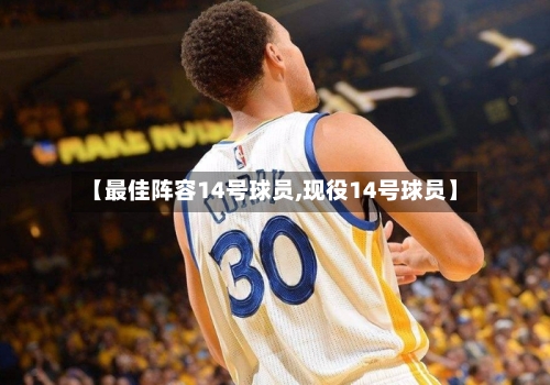 【最佳阵容14号球员,现役14号球员】