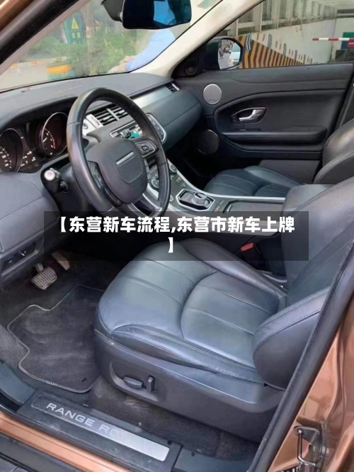 【东营新车流程,东营市新车上牌】-第3张图片