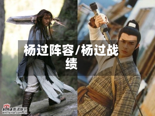 杨过阵容/杨过战绩