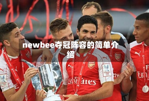 newbee夺冠阵容的简单介绍