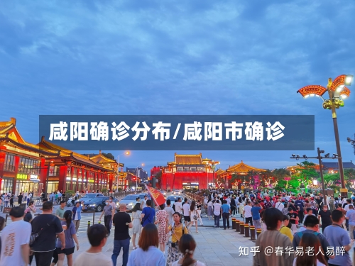 咸阳确诊分布/咸阳市确诊-第2张图片
