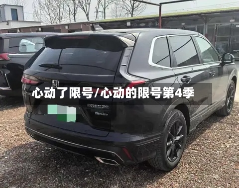 心动了限号/心动的限号第4季-第2张图片