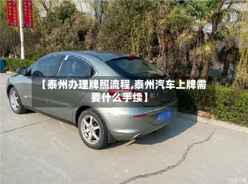 【泰州办理牌照流程,泰州汽车上牌需要什么手续】-第2张图片