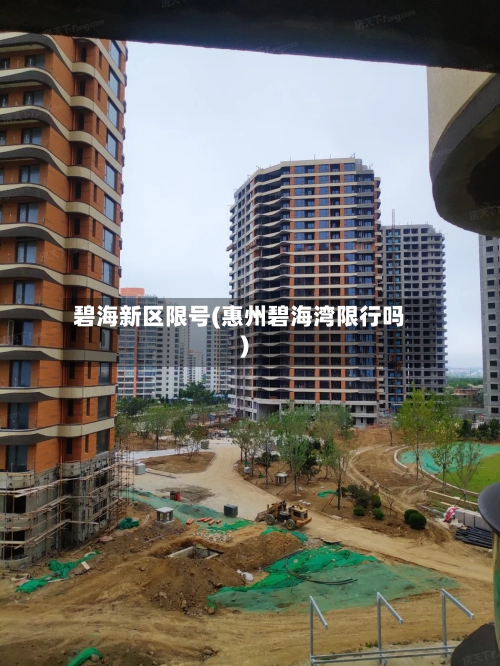 碧海新区限号(惠州碧海湾限行吗)