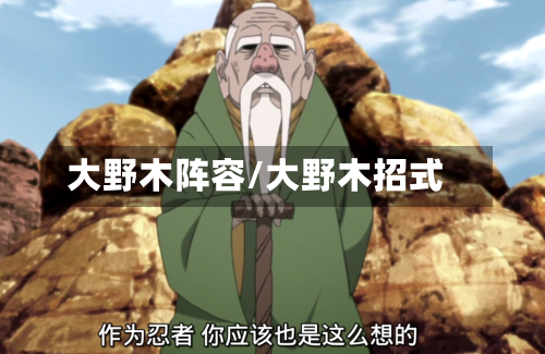 大野木阵容/大野木招式