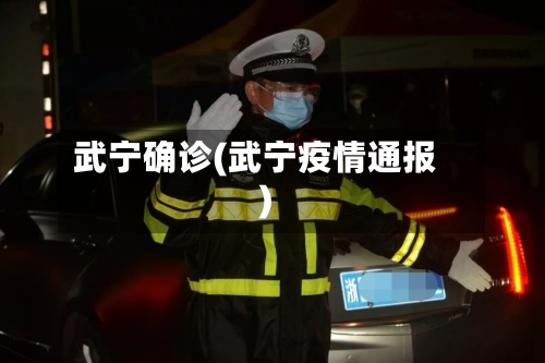 武宁确诊(武宁疫情通报)
