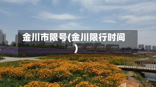 金川市限号(金川限行时间)
