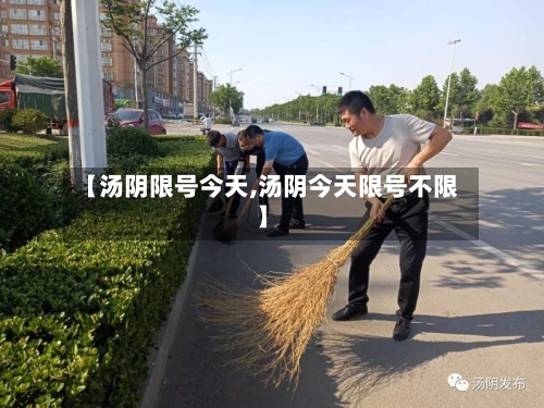 【汤阴限号今天,汤阴今天限号不限】-第2张图片