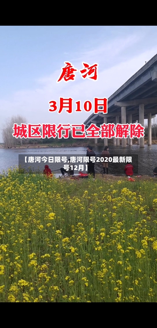 【唐河今日限号,唐河限号2020最新限号12月】
