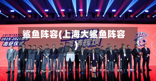 鲨鱼阵容(上海大鲨鱼阵容)