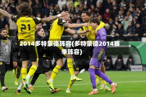 2014多特蒙德阵容(多特蒙德2014赛季阵容)