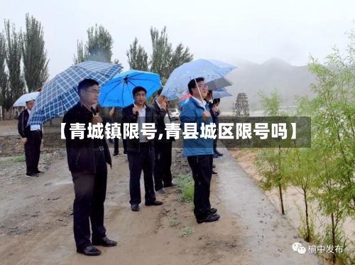 【青城镇限号,青县城区限号吗】