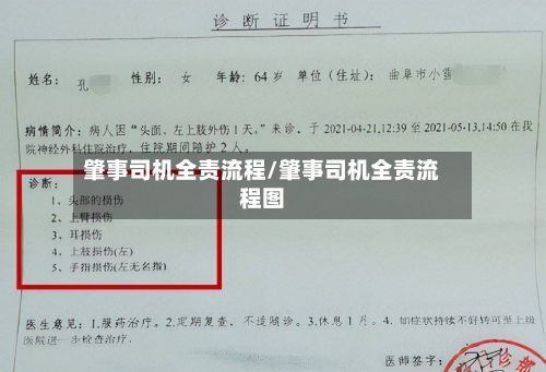 肇事司机全责流程/肇事司机全责流程图-第2张图片