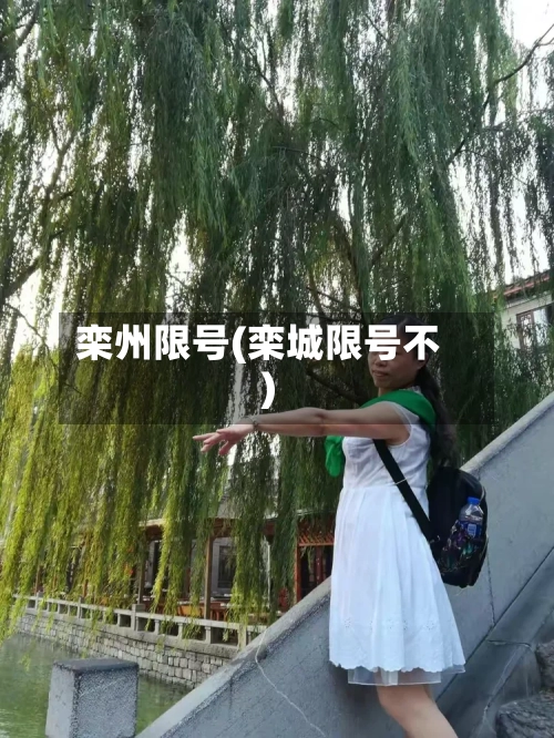 栾州限号(栾城限号不)