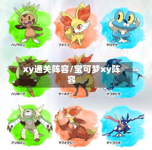 xy通关阵容/宝可梦xy阵容