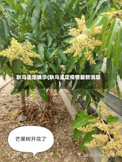 耿马孟定确诊(耿马孟定疫情最新消息)