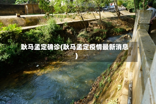 耿马孟定确诊(耿马孟定疫情最新消息)-第2张图片