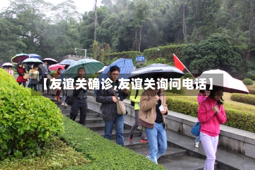 【友谊关确诊,友谊关询问电话】-第2张图片