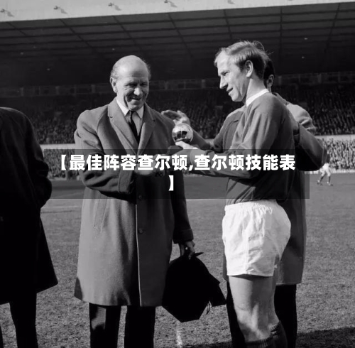 【最佳阵容查尔顿,查尔顿技能表】-第2张图片