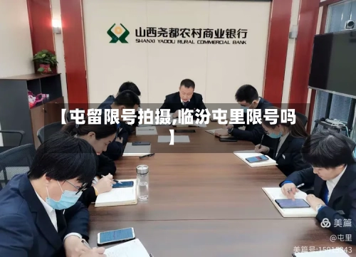【屯留限号拍摄,临汾屯里限号吗】-第2张图片