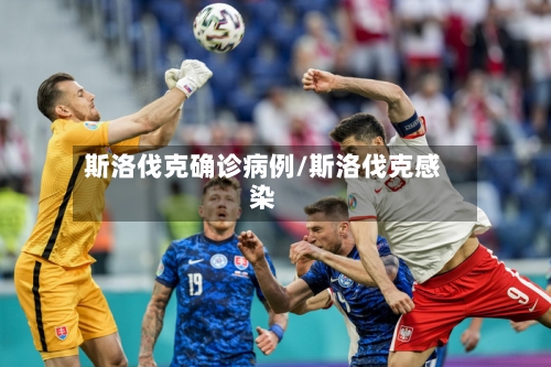 斯洛伐克确诊病例/斯洛伐克感染-第2张图片