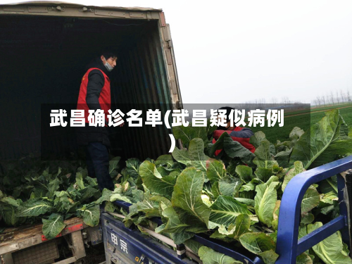 武昌确诊名单(武昌疑似病例)