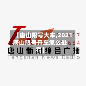 【唐山限号大车,2021唐山限号开车怎么处罚】-第3张图片