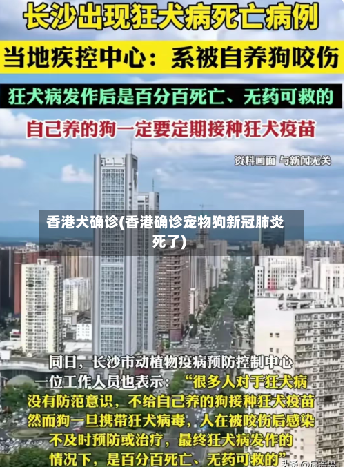 香港犬确诊(香港确诊宠物狗新冠肺炎死了)-第2张图片