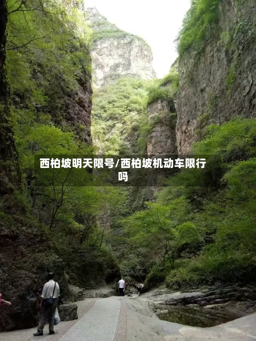 西柏坡明天限号/西柏坡机动车限行吗
