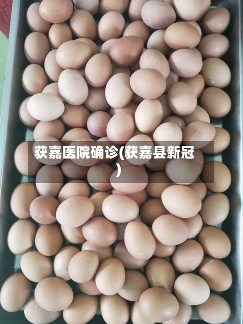 获嘉医院确诊(获嘉县新冠)-第3张图片