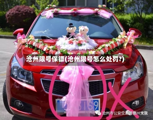沧州限号保镖(沧州限号怎么处罚?)